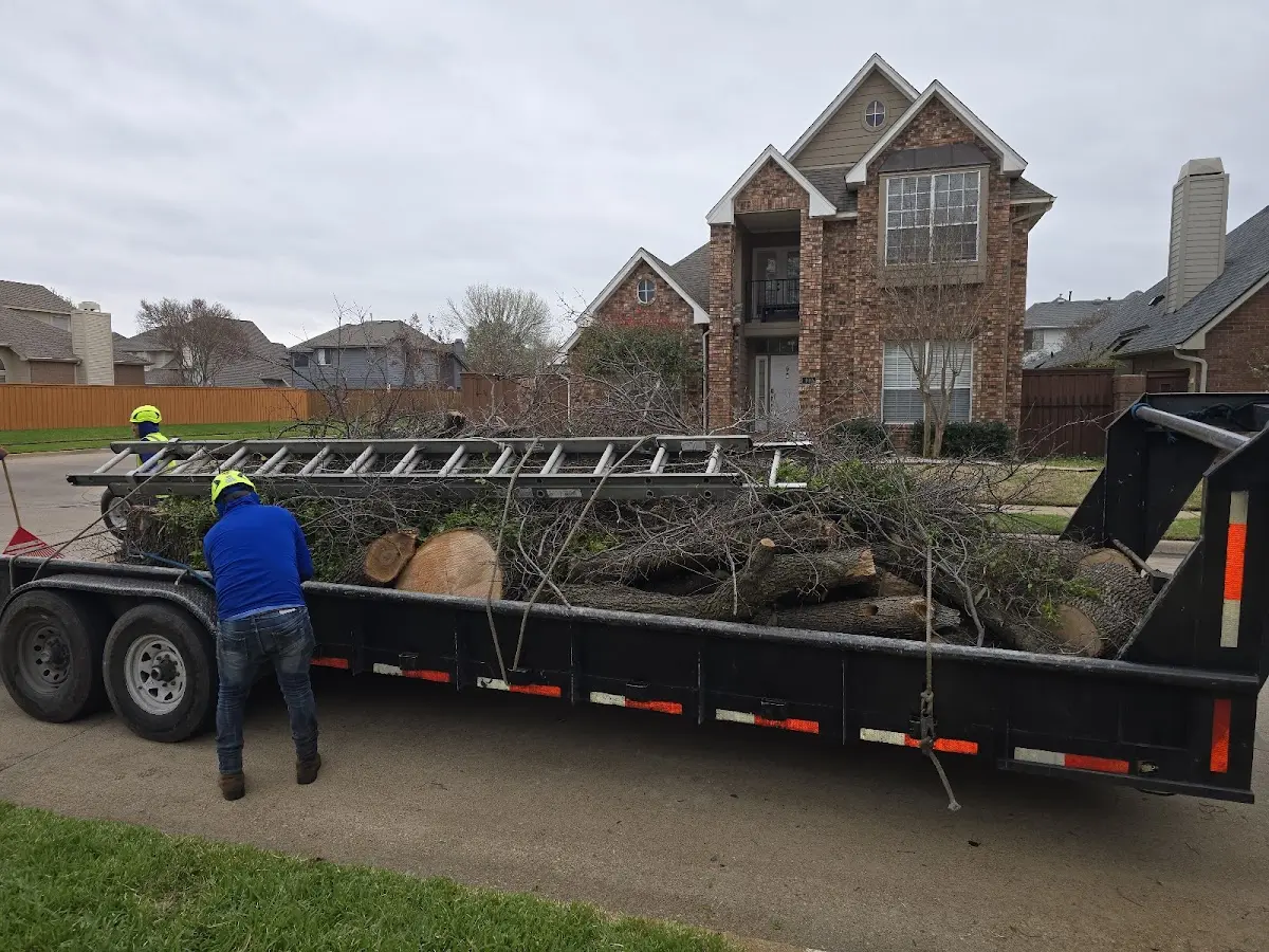 Expert Lot Clearing with proper safety equipment in Alger